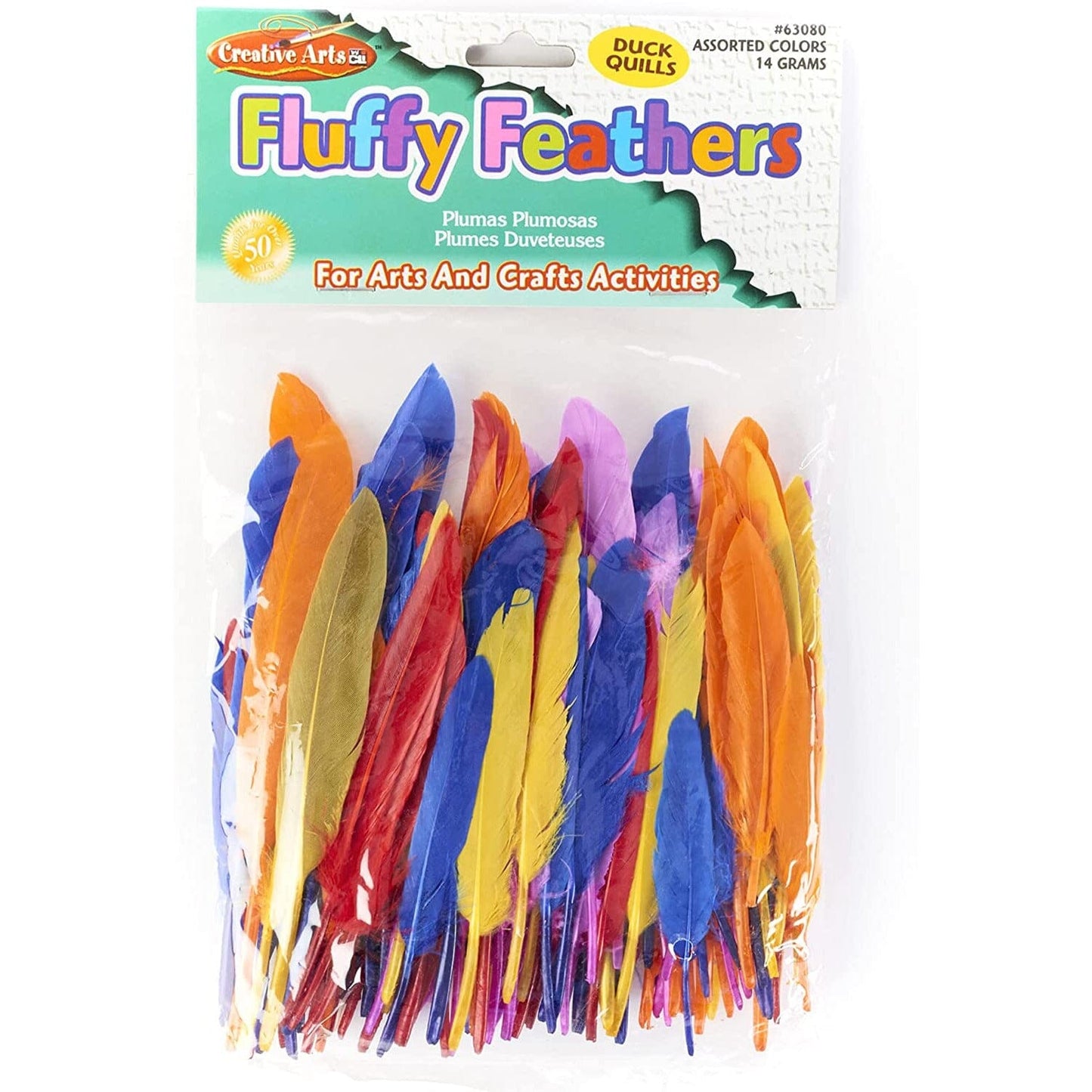Feathers (Assorted Styles) Art & Craft Kits Charles Leonard