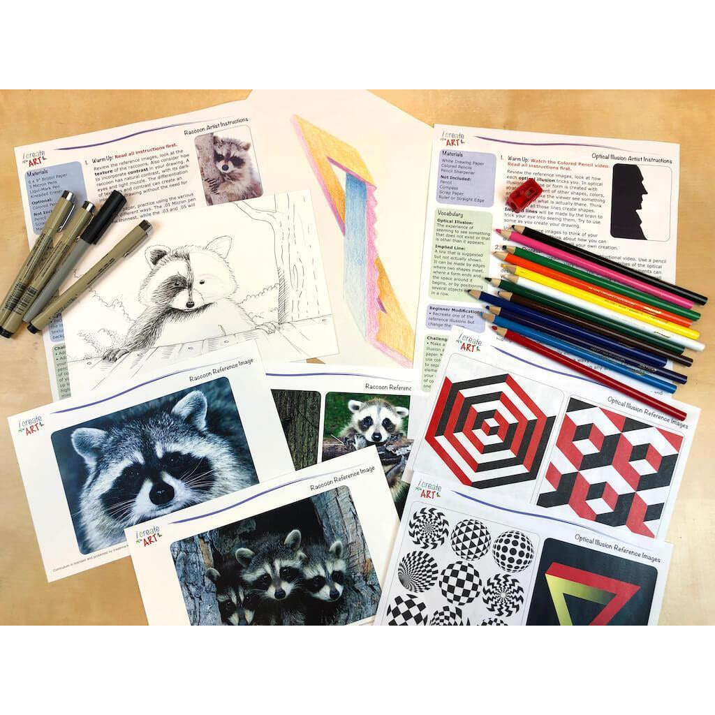 Optical Illusion & Raccoon