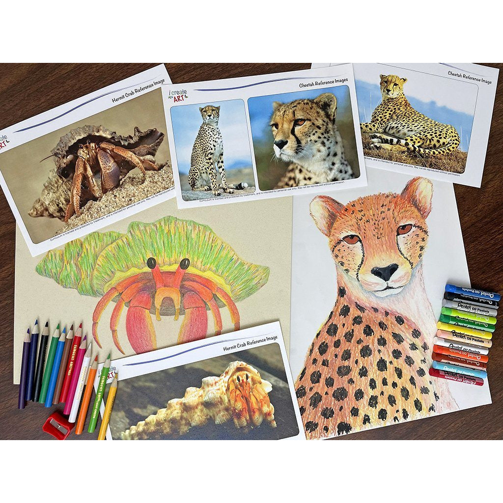 Creative Artist Series: Cheetah & Hermit Crab Art Box I Create Art