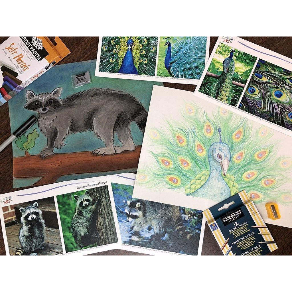 Creative Artist Series: Raccoon & Peacock Art Box I Create Art