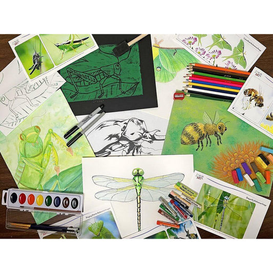 HOMESCHOOL ART SERIES - Insects Are Fun! Homeschool Art Box I Create Art 
