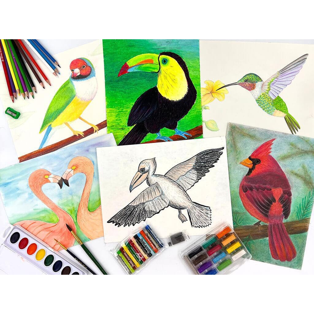 HOMESCHOOL ART B - Birds Drawing & Painting Kits I Create Art 
